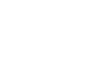 ONE Jiu-Jitsu