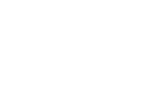 ONE Jiu-Jitsu